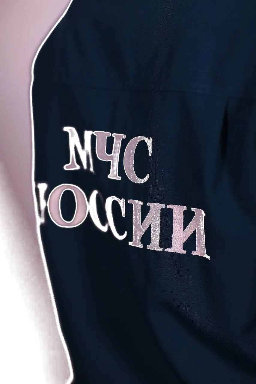 Вышивка «МЧС РОССИИ» на спине